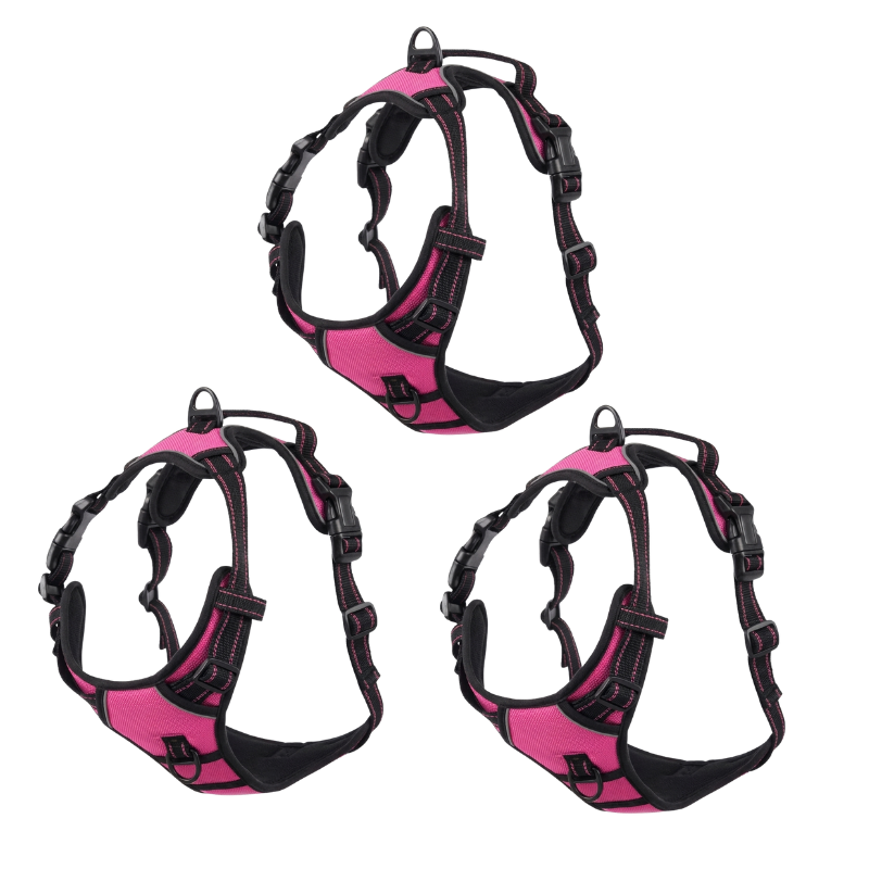 EasyLeash™