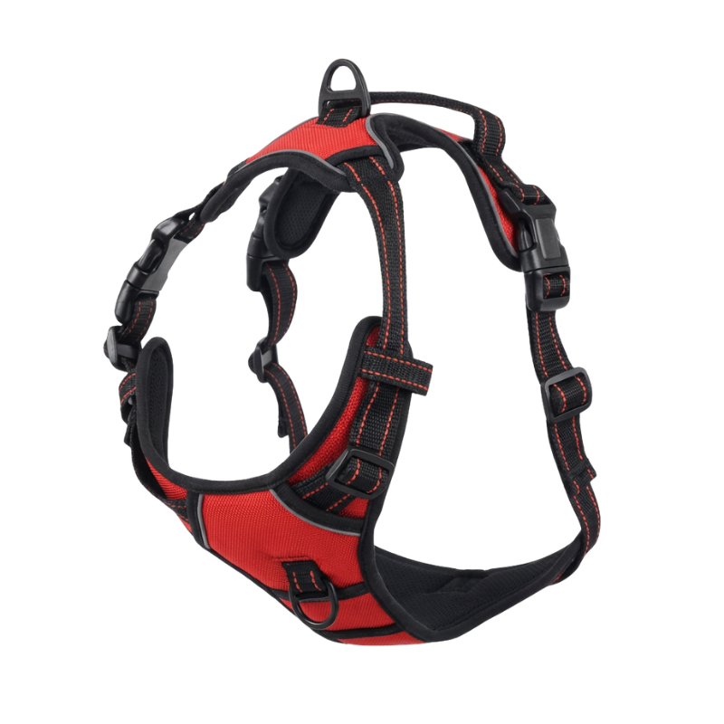 EasyLeash™