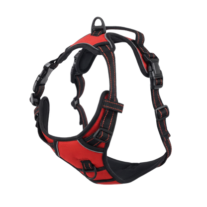 EasyLeash™