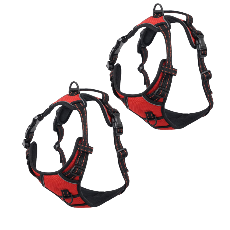EasyLeash™