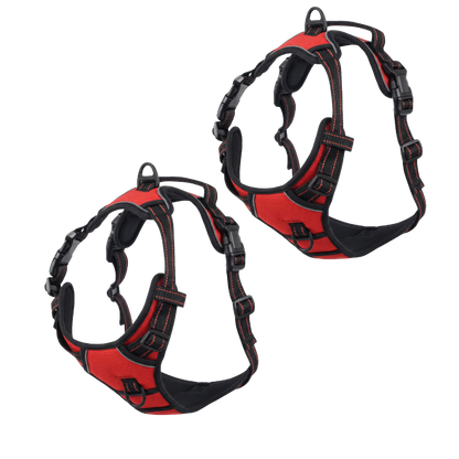 EasyLeash™
