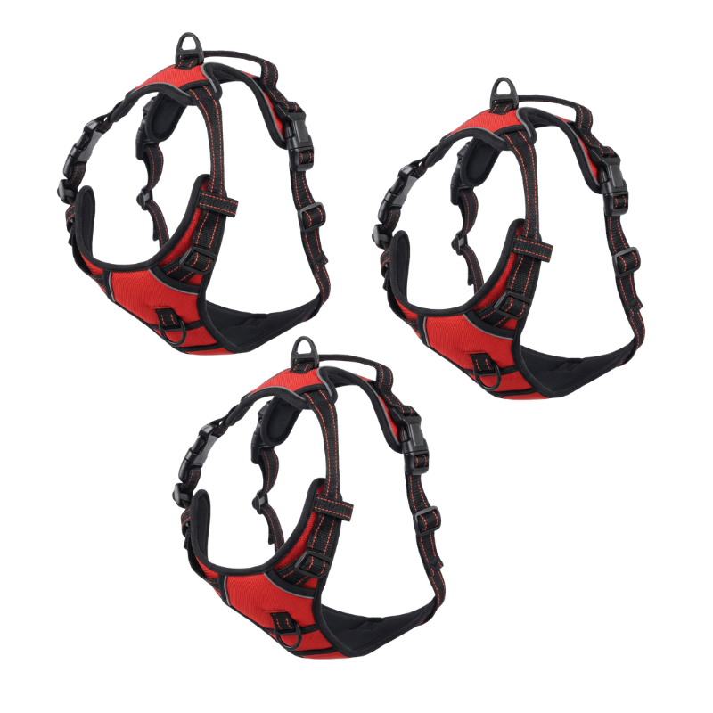 EasyLeash™