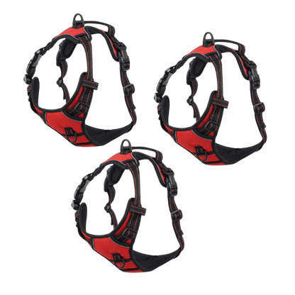 EasyLeash™