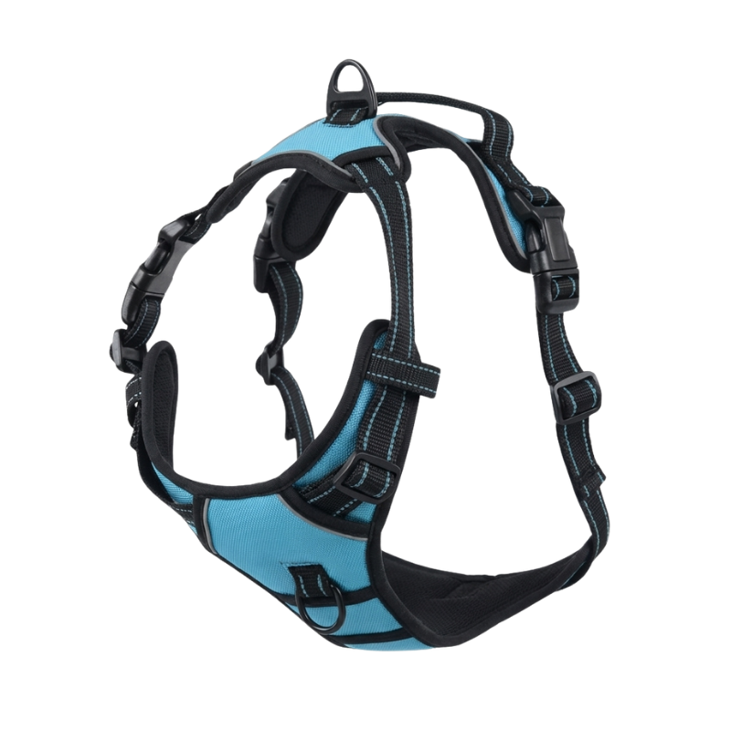 EasyLeash™
