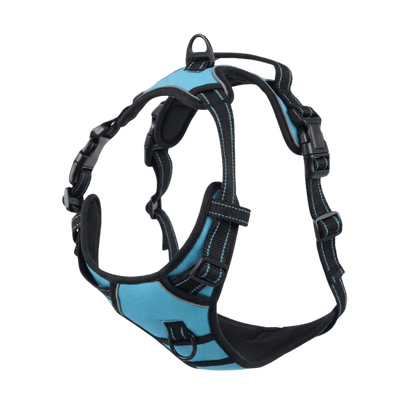 EasyLeash™
