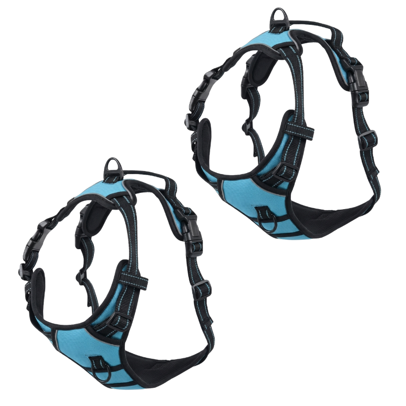 EasyLeash™