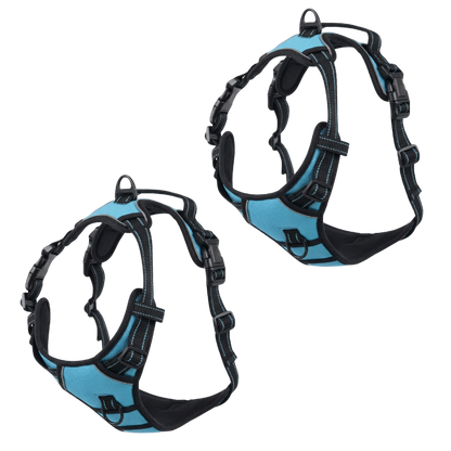 EasyLeash™