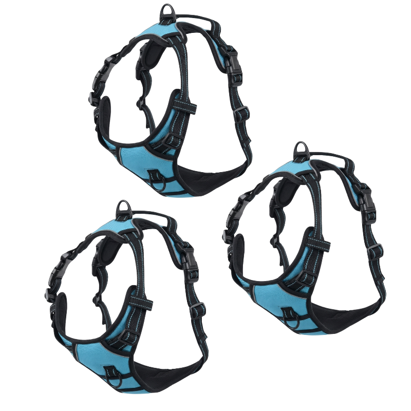 EasyLeash™