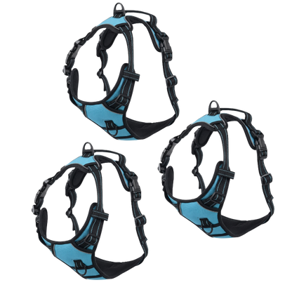 EasyLeash™