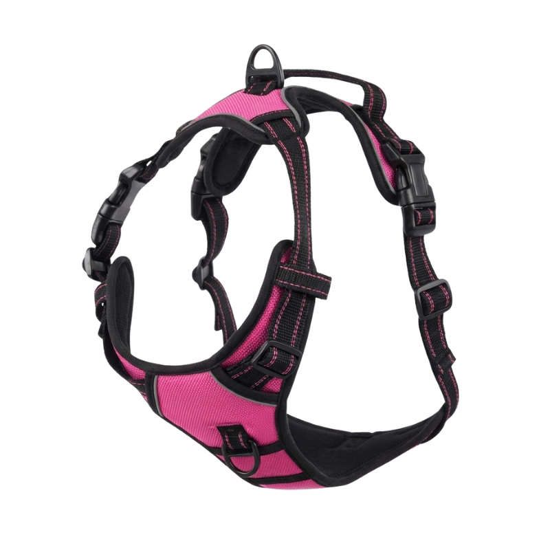 EasyLeash™