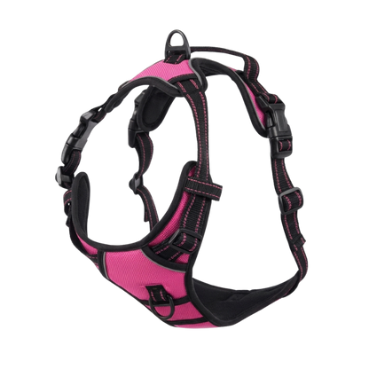 EasyLeash™