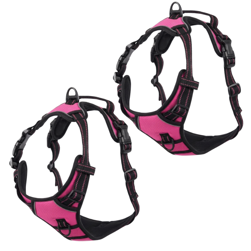 EasyLeash™
