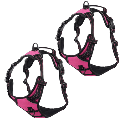 EasyLeash™