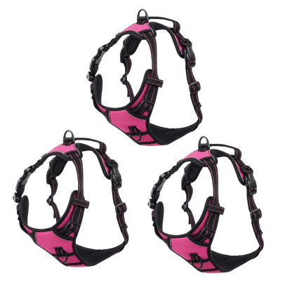 EasyLeash™