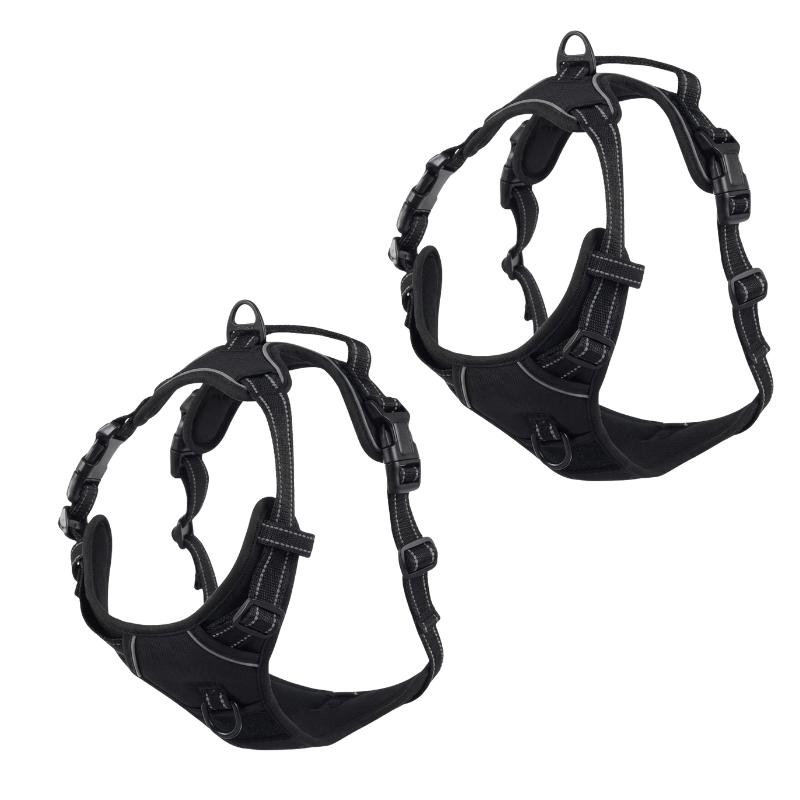 EasyLeash™