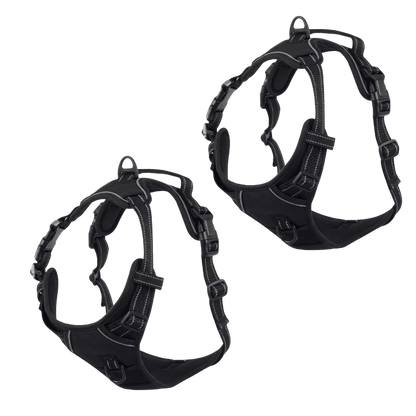EasyLeash™