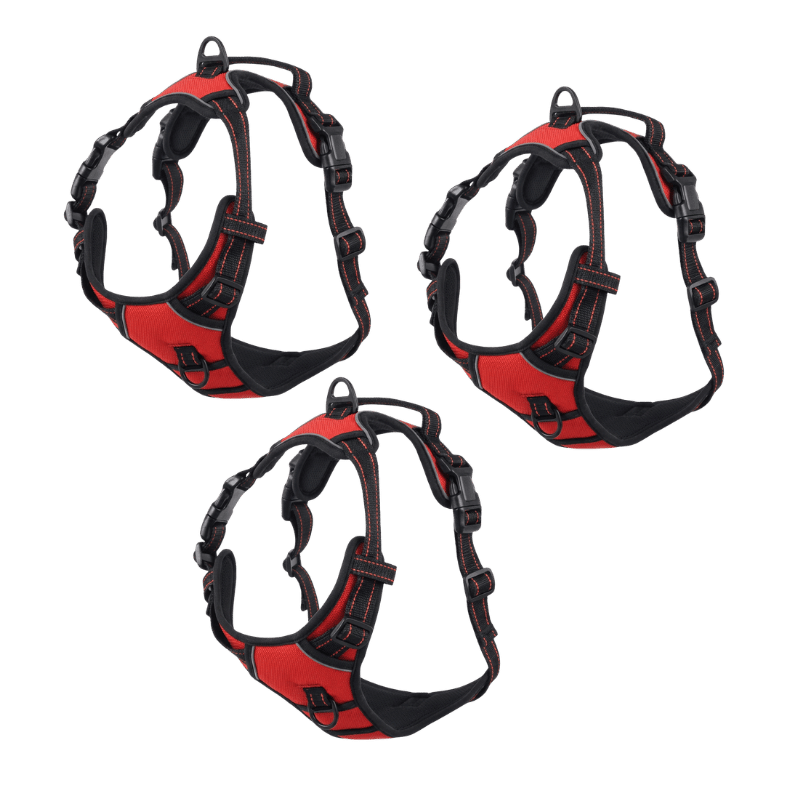 EasyLeash
