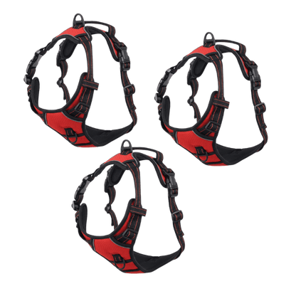 EasyLeash