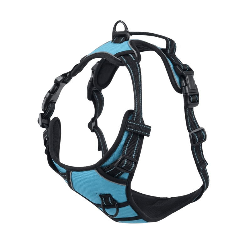 EasyLeash