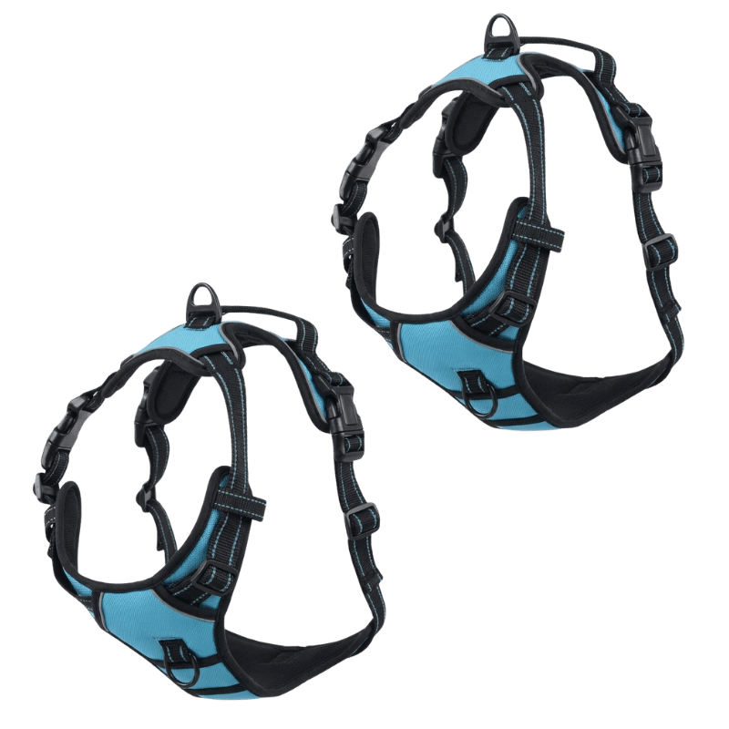 EasyLeash