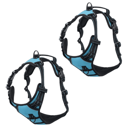 EasyLeash