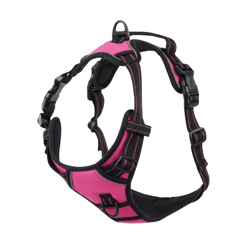 EasyLeash