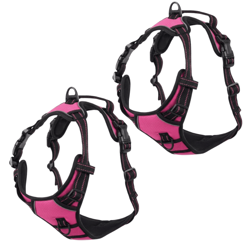 EasyLeash