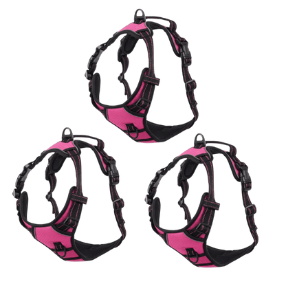 EasyLeash