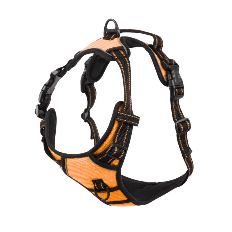EasyLeash