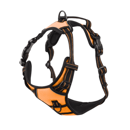 EasyLeash