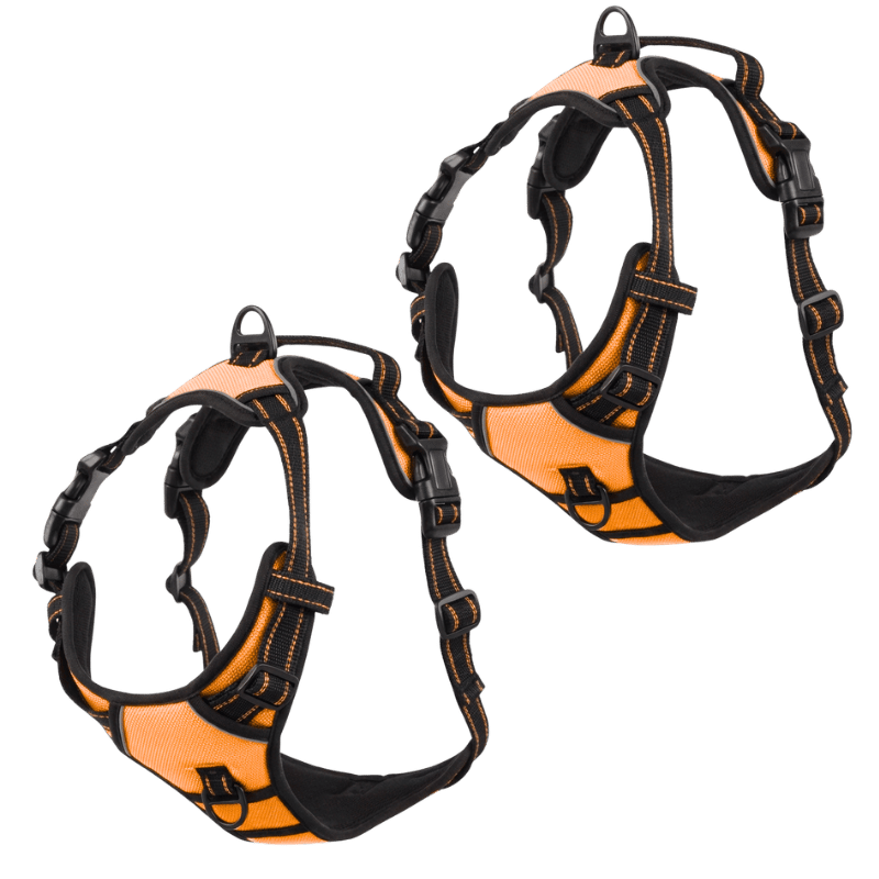 EasyLeash