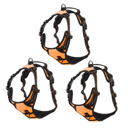 EasyLeash