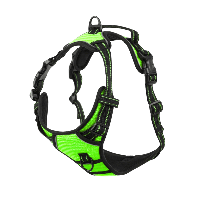 EasyLeash