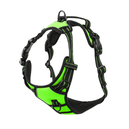 EasyLeash