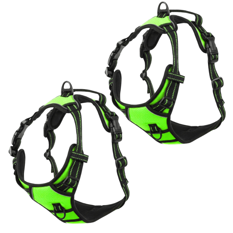 EasyLeash