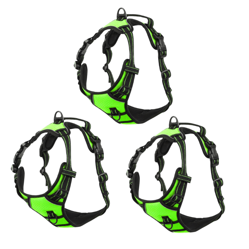 EasyLeash