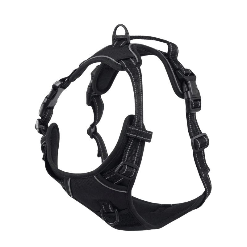 EasyLeash