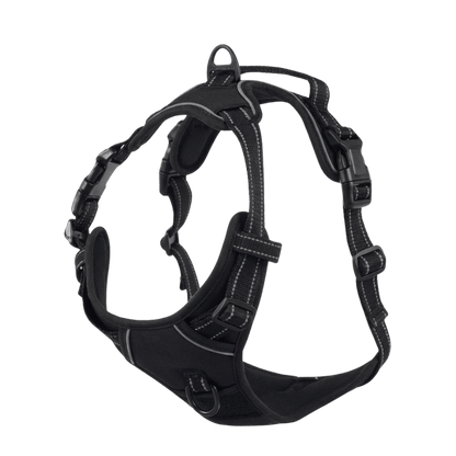 EasyLeash
