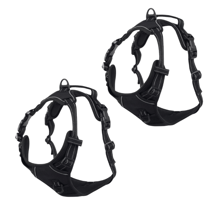 EasyLeash