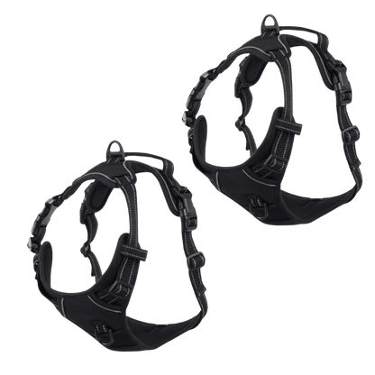 EasyLeash