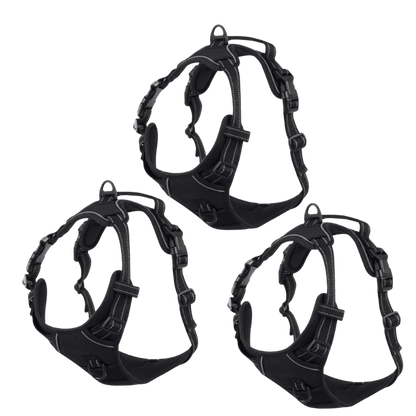 EasyLeash