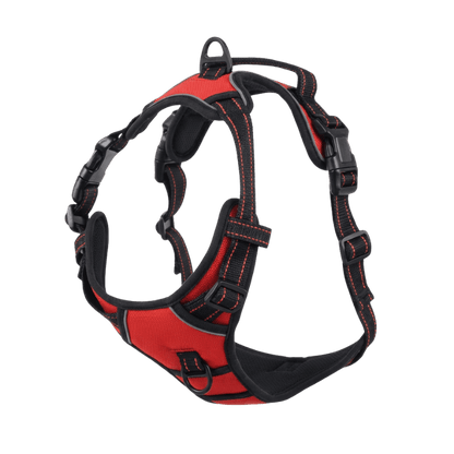 EasyLeash