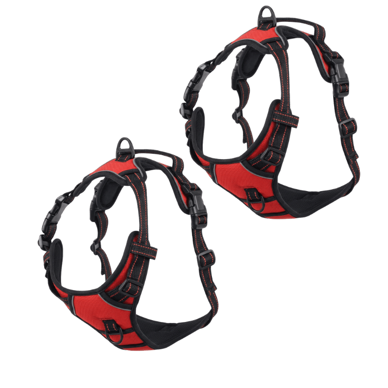 EasyLeash