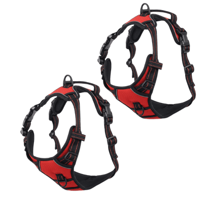 EasyLeash