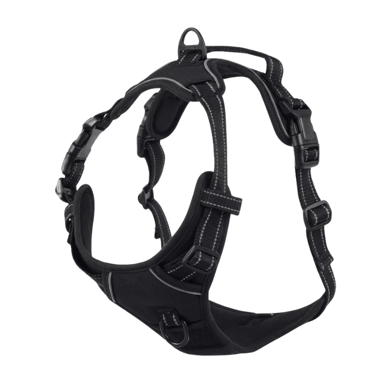 EasyLeash™